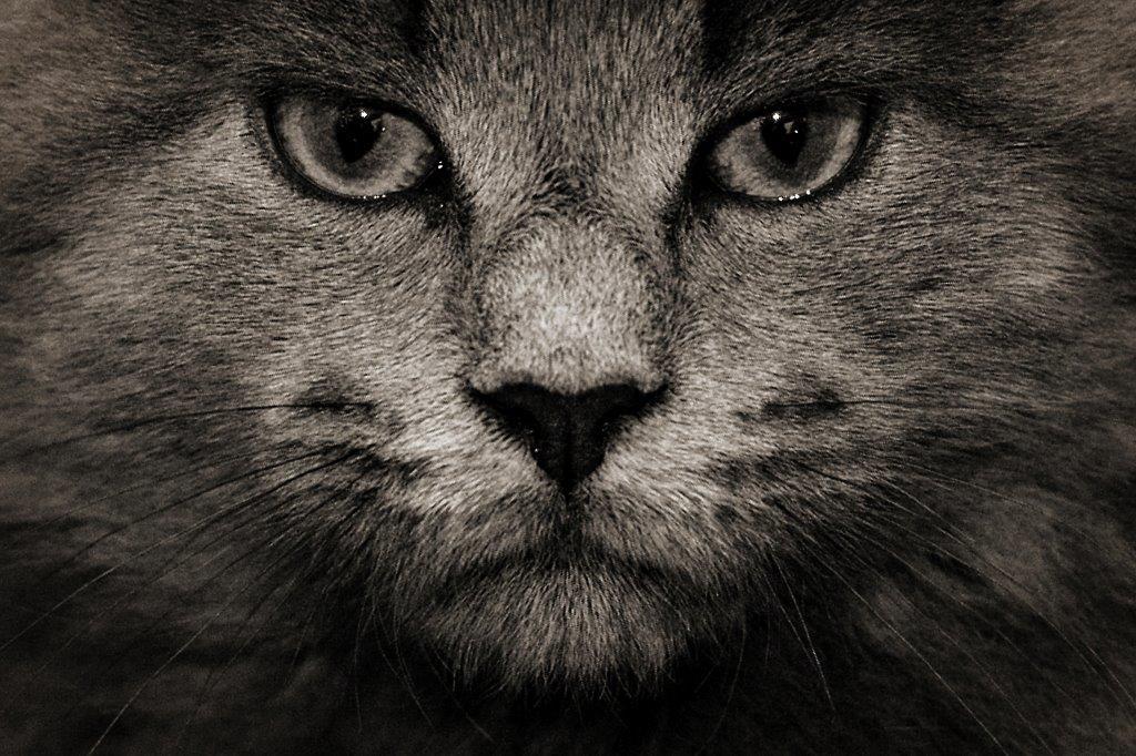 Foto: Peter Hadasch
