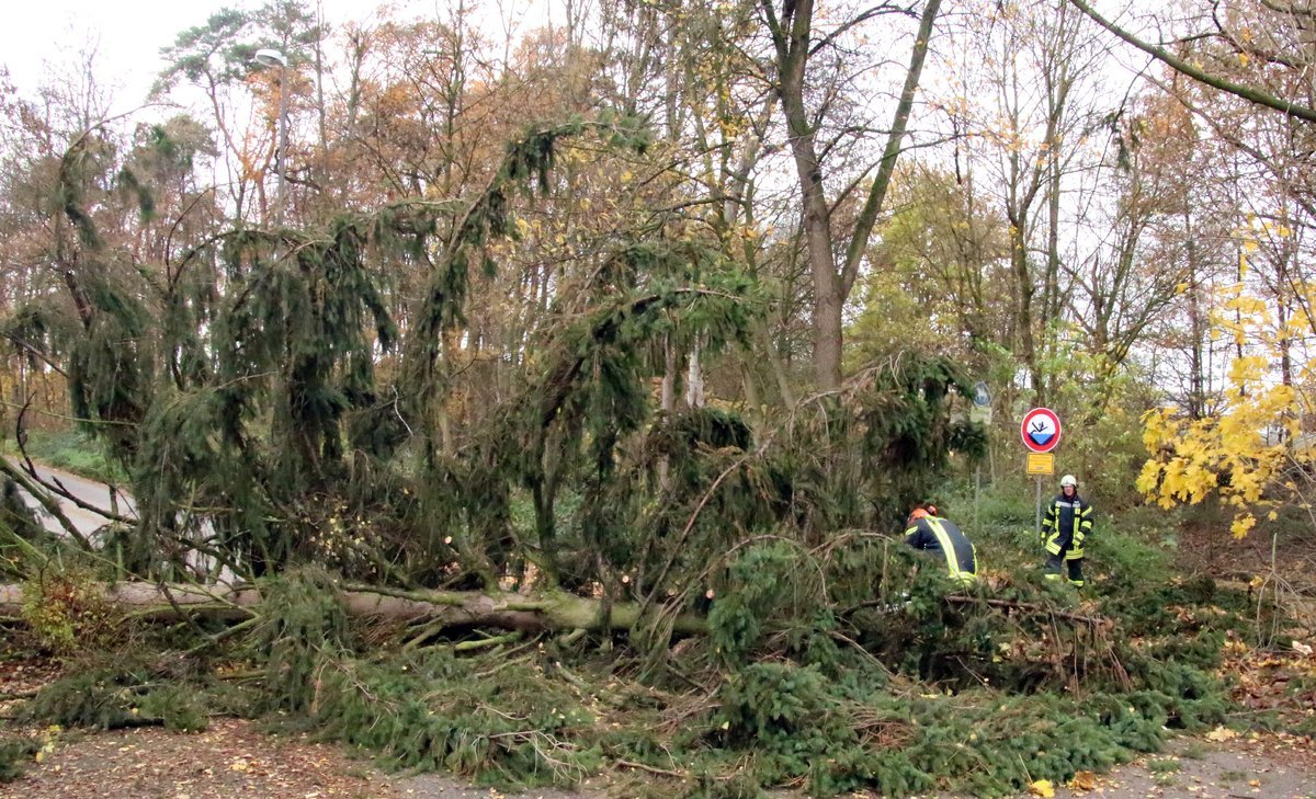 Die Stürme haben auch in den Wäldern große Schäden angerichtet. Wer heute und auch in den nächsten Tagen einen Waldspaziergang wagt, begibt sich in Gefahr. Foto. Archiv