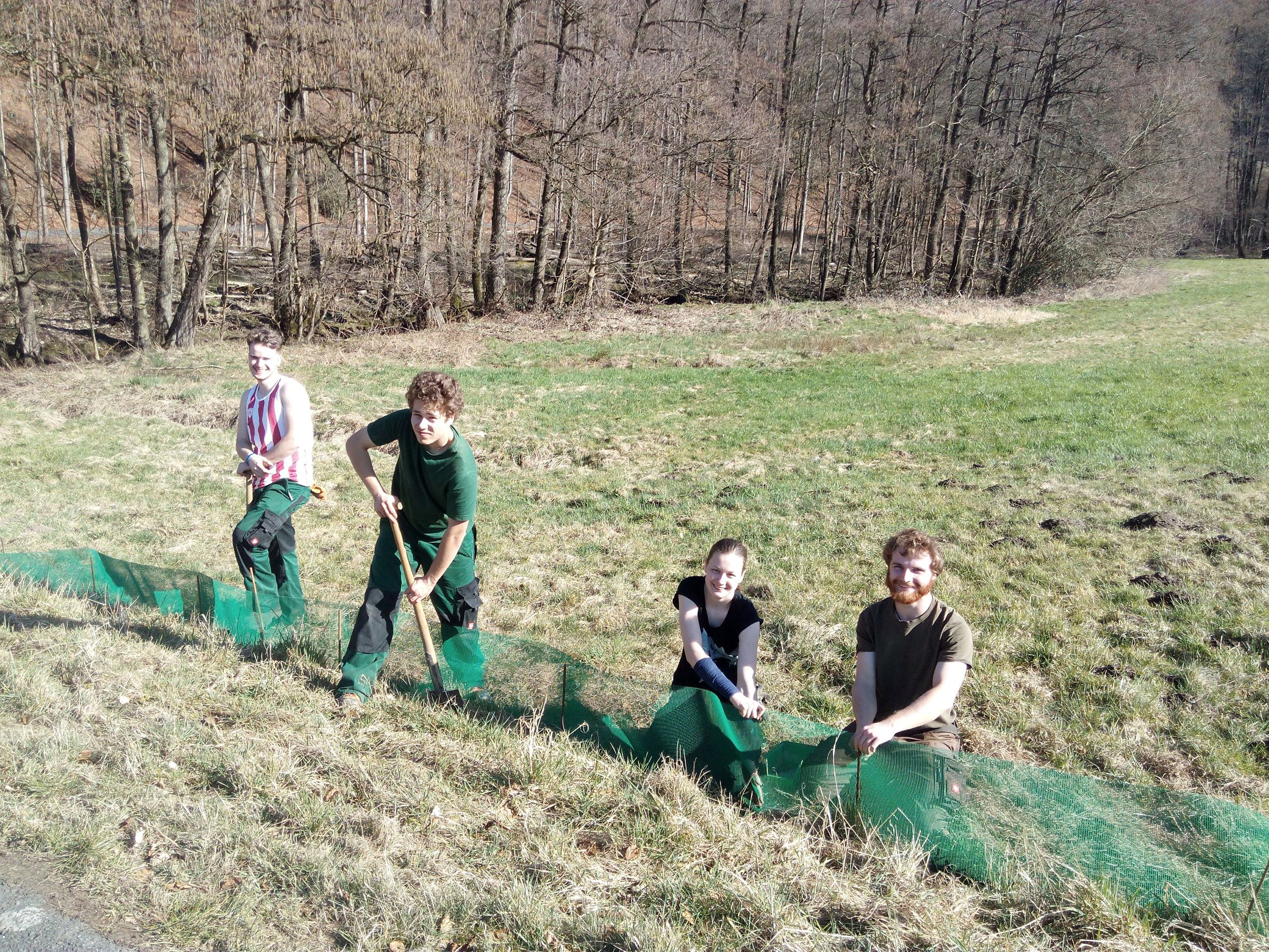 Finn, Lukas, Valeria und Kreismitarbeiter Frank Wirth beim Krötenzaunaufbau. Während des FÖJ erlenern sie handwerkliches Geschick.
Foto: Kreis Mettmann
