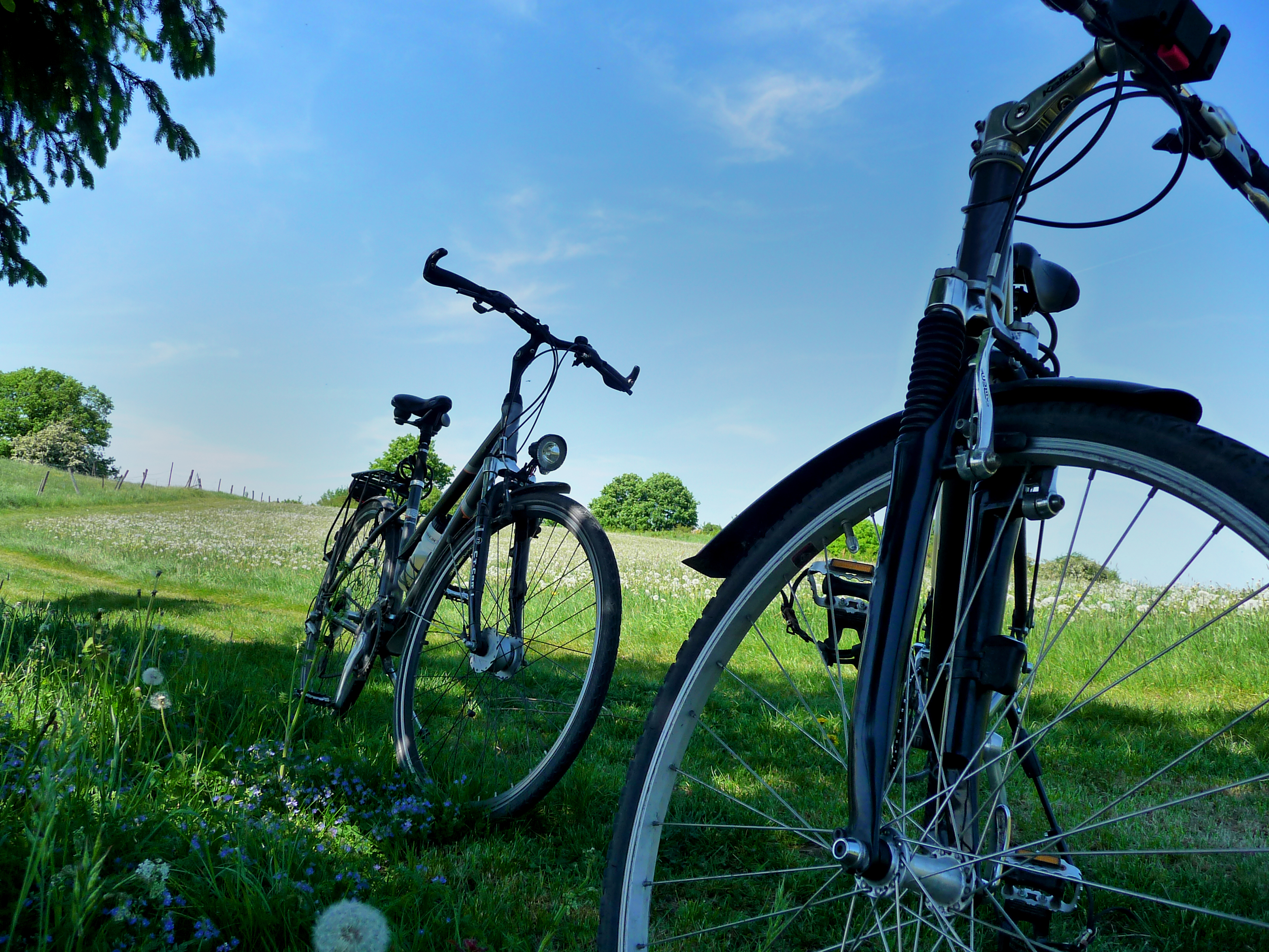 Radwegenetz soll optimiert werden.