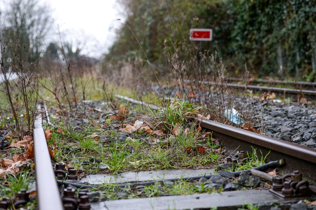Sinnbild für den maroden ÖPNV in der Region: In einer "Nacht-und-Nebelaktion" legte Mülheim im April 2012 die Straßenbahnstrecke zum Flughafen still. Auch der Schienenverkehr nach Styrum wurde eingestellt. Foto: PR-Foto Köhring
