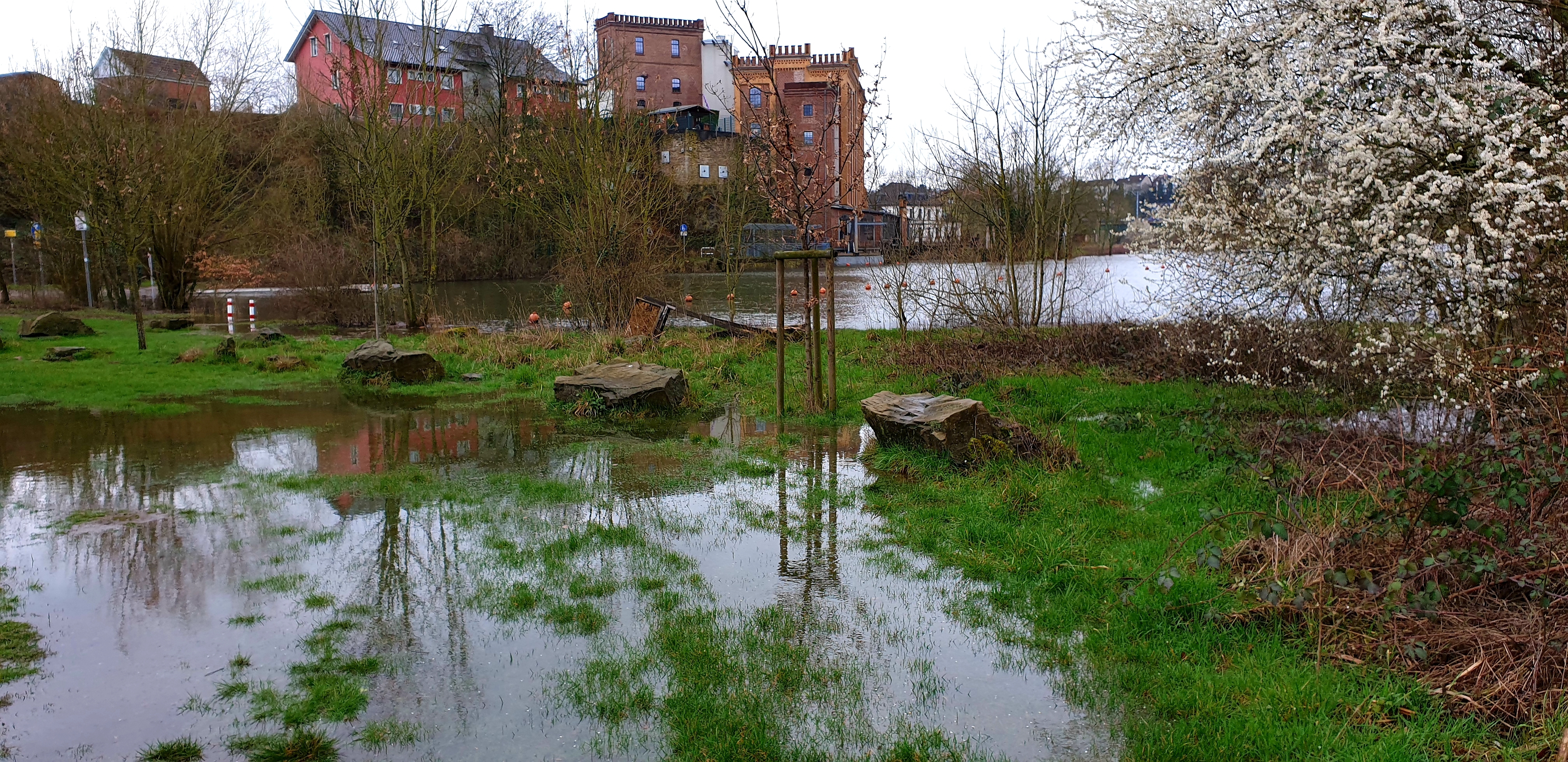 Birschelmühle>Hochwasser & Baumblüte