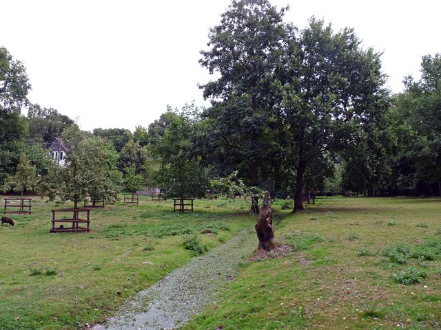 Renneken nach dem Verlassen des Reichswaldes