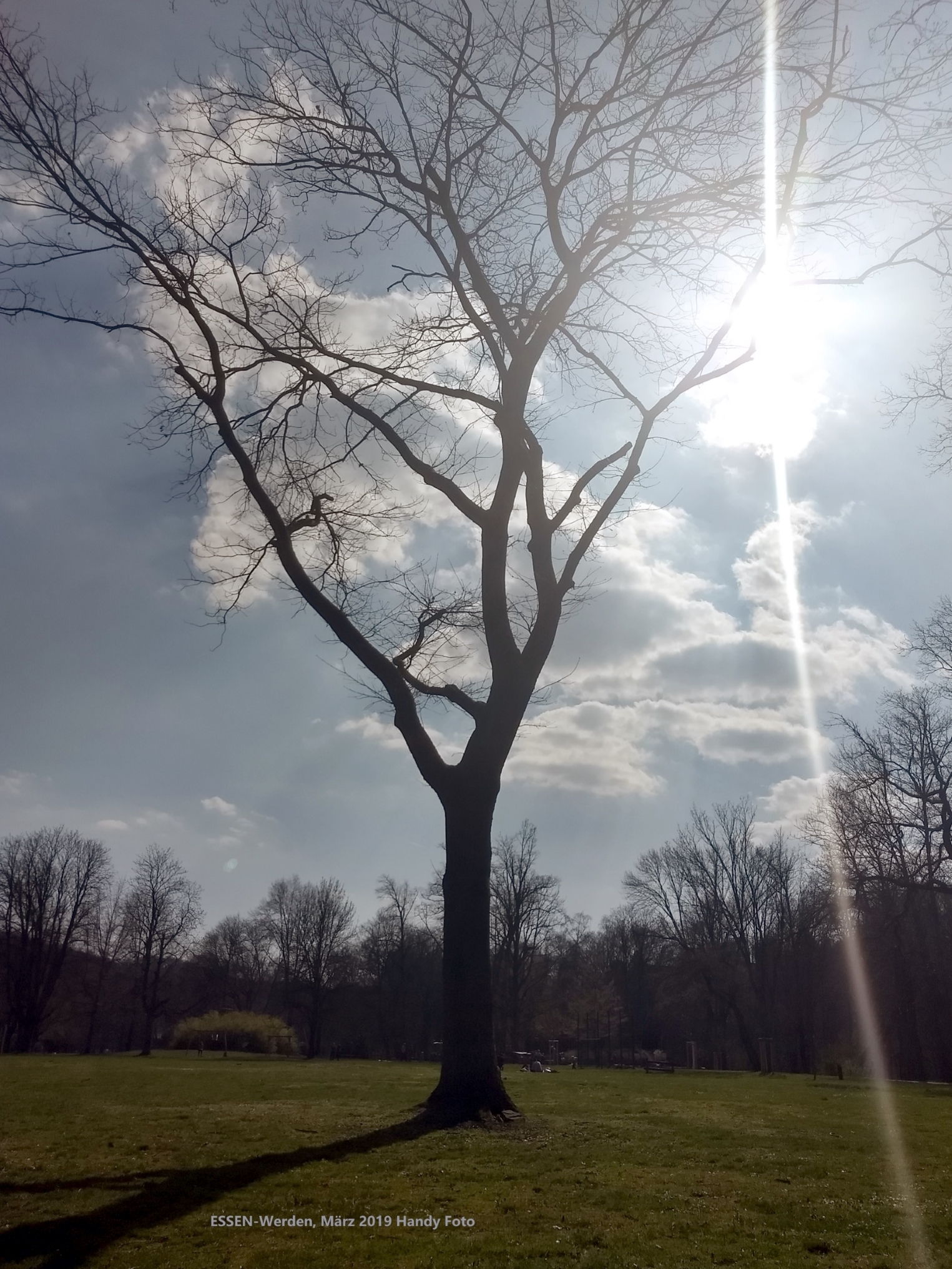 DA IST SIE, die SONNE