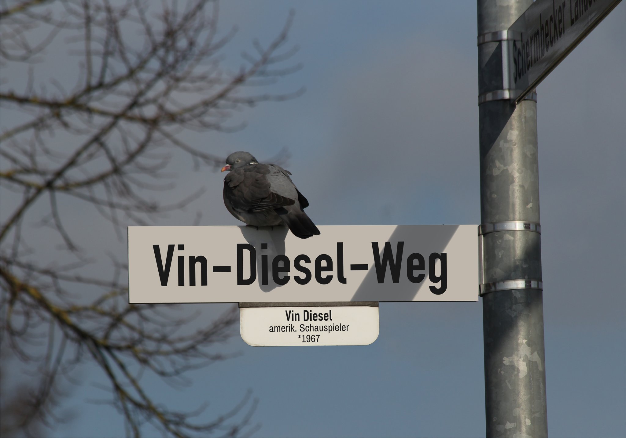 Umbenennung Fur Den 01 05 19 Das Ende Der Rudolf Diesel Strasse