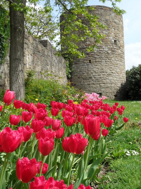 Frühling Hattingen hat fleißige Gärtner Hattingen