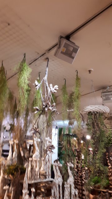 Grob fahrlässig
