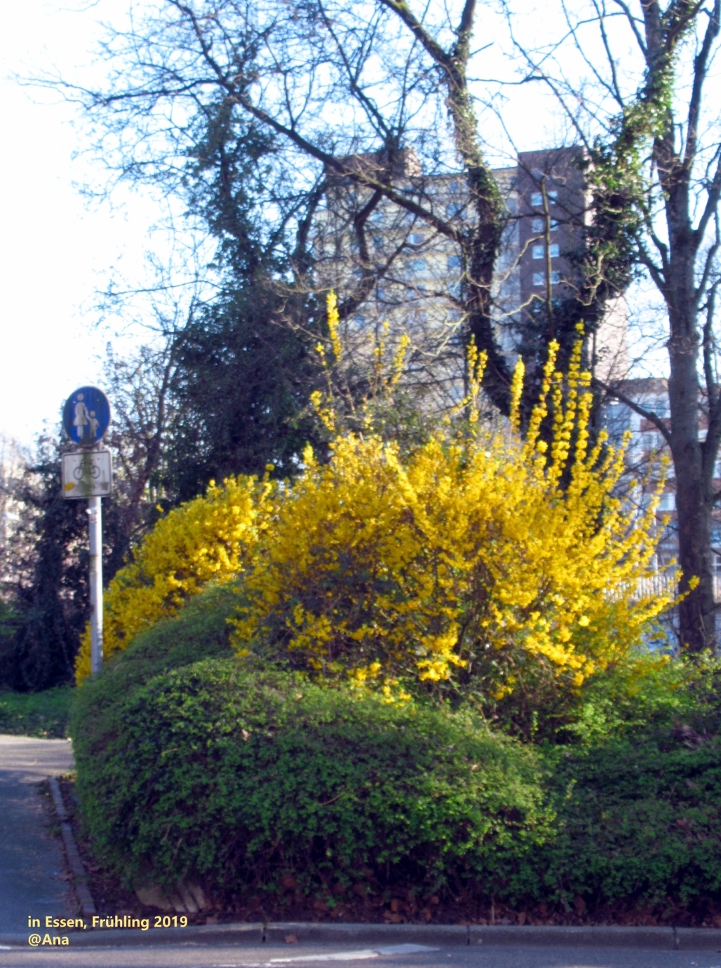 ...irgendwo in Essen-Rüttenscheid, Nähe der GRUGA, im Frühling 2019