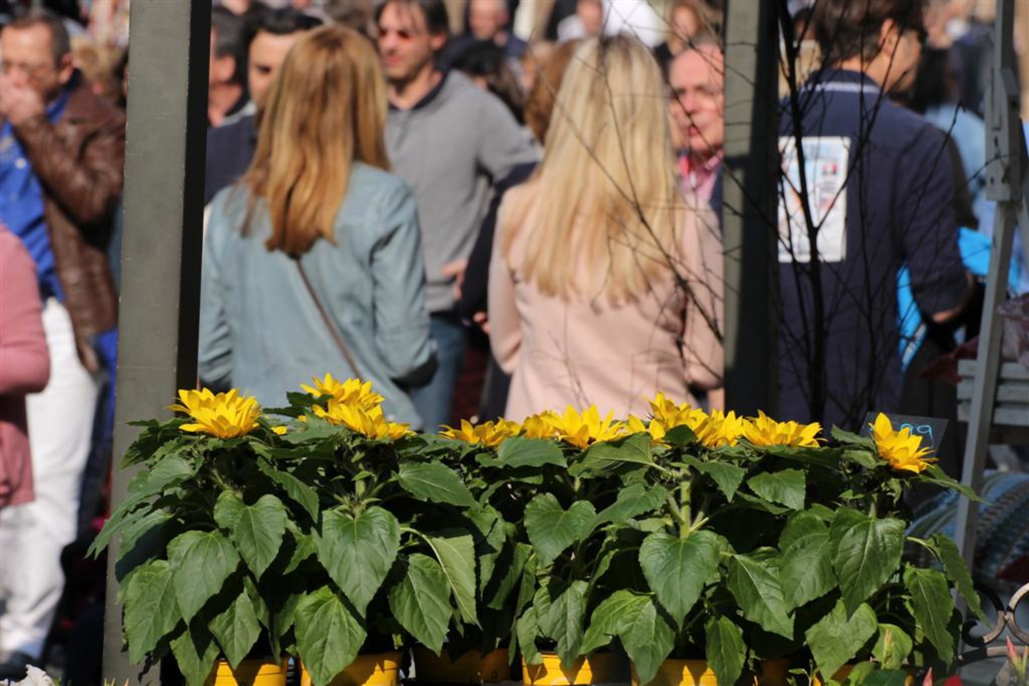 frühlingsfest herdecke 2020