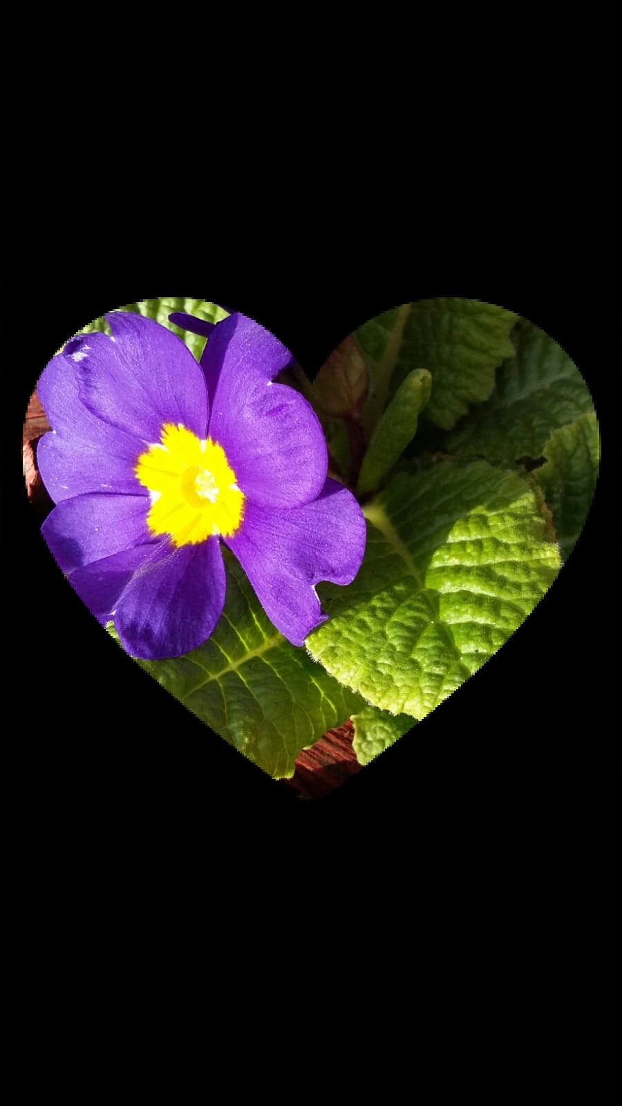 Hallo Frühling