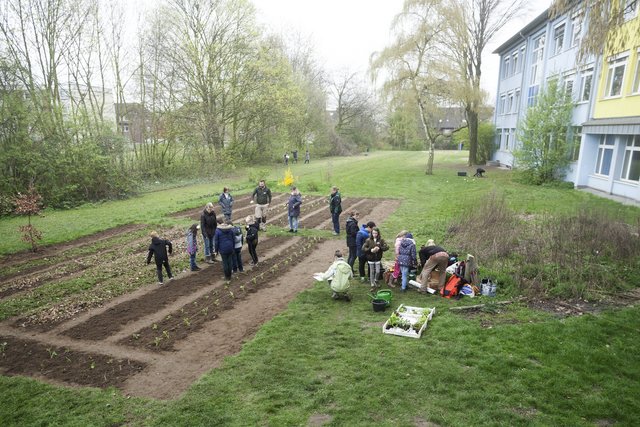 Schüler der GGS Sternstraße haben jetzt ihren eigenen Gemüsegarten Der
