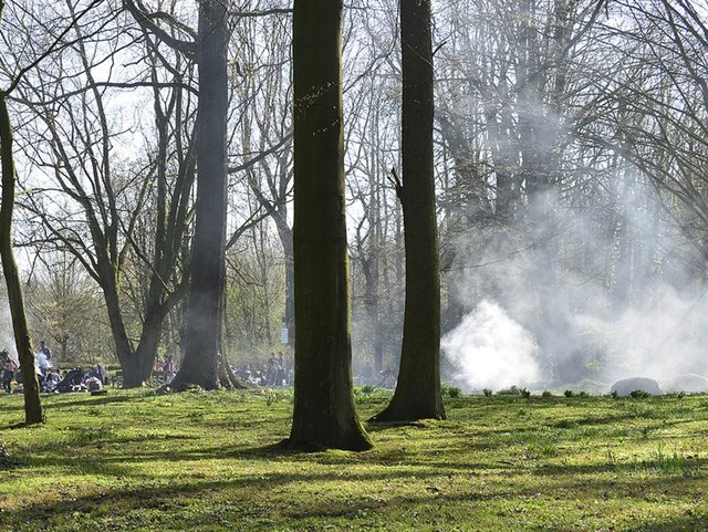 2018 hagelte es Beschwerden von Anwohnern über zügellose Wildgrillerei, Vermüllung, Rauch- und Lärmbelästigung im Wittringer Wald.