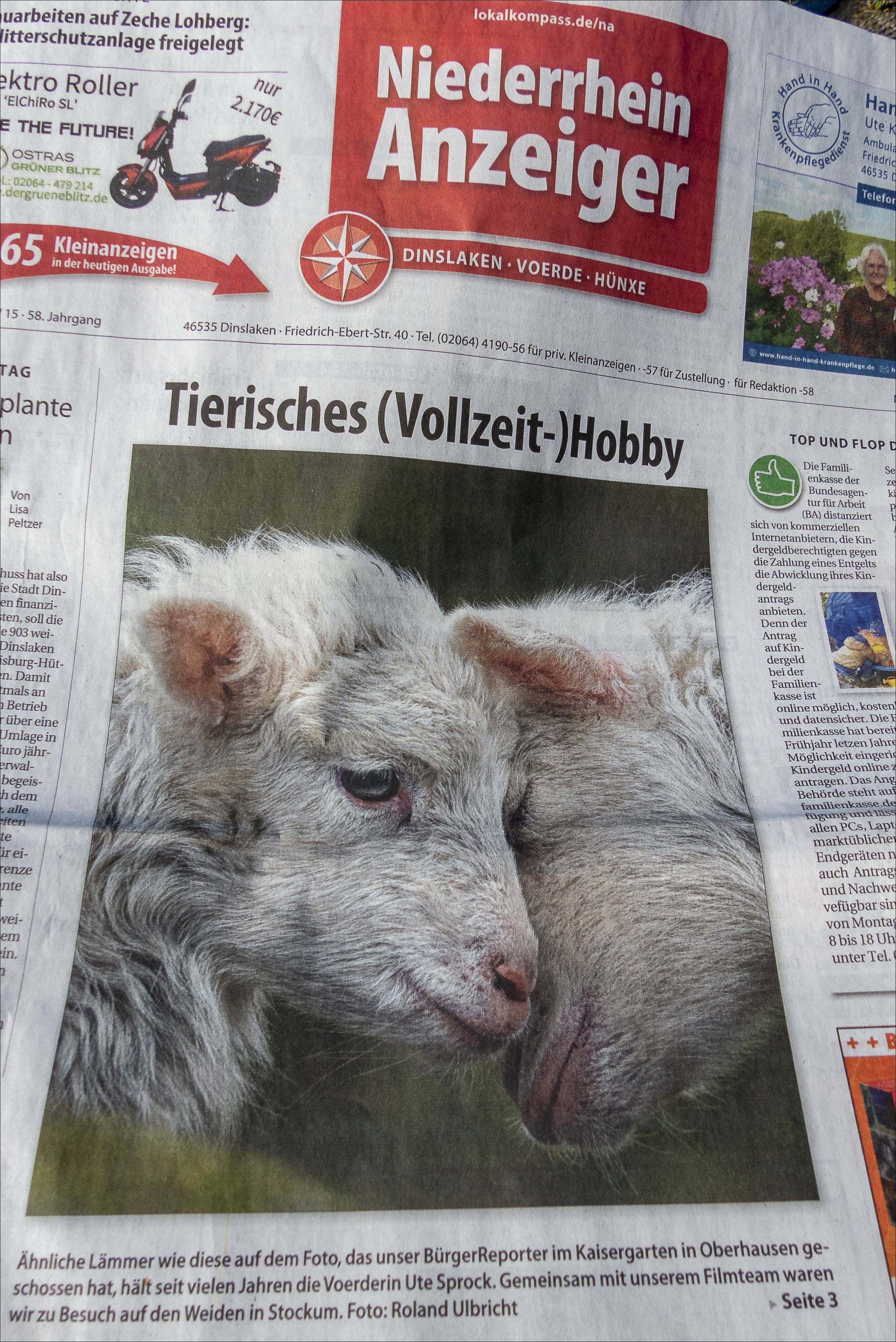 Titelseite