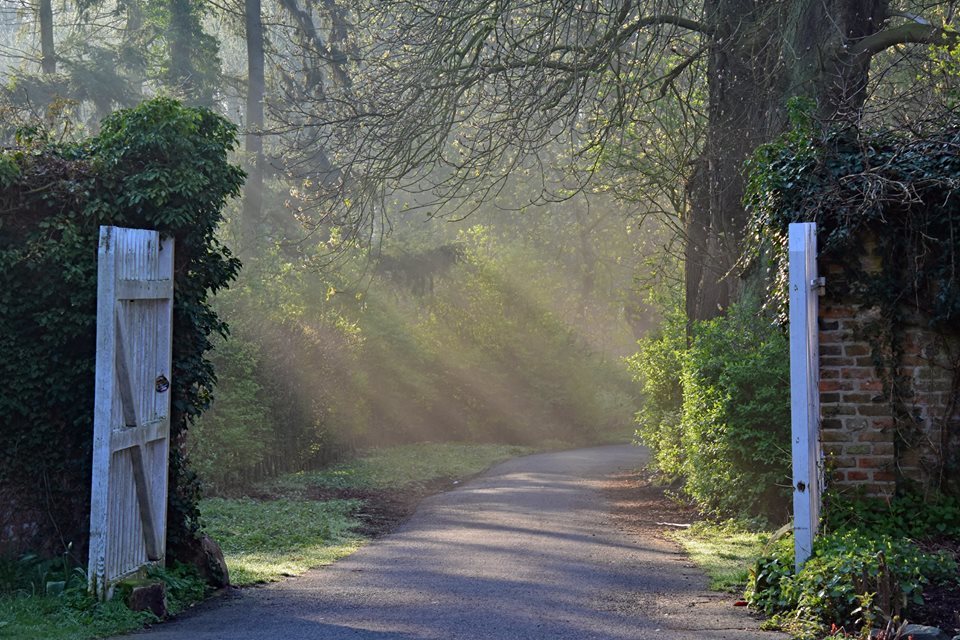 Foto: Copyright: Birgit Leimann - Boniburger Wald - Münster/ Handorf
*Frühlingsmorgen*