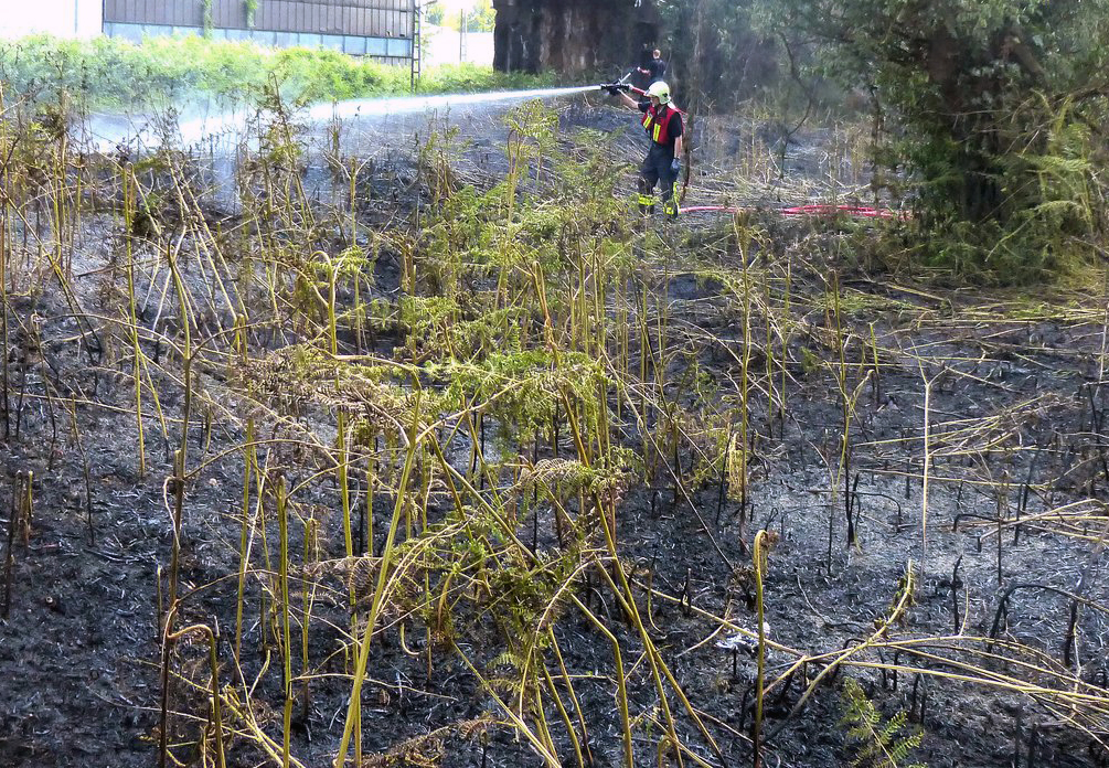 Die Löscheinheiten Overberge und Rünthe der Bergkamener Feuerwehr wurden gestern zu einem Böschungsbrand gerufen. Archivfoto: Klaus Bednarz