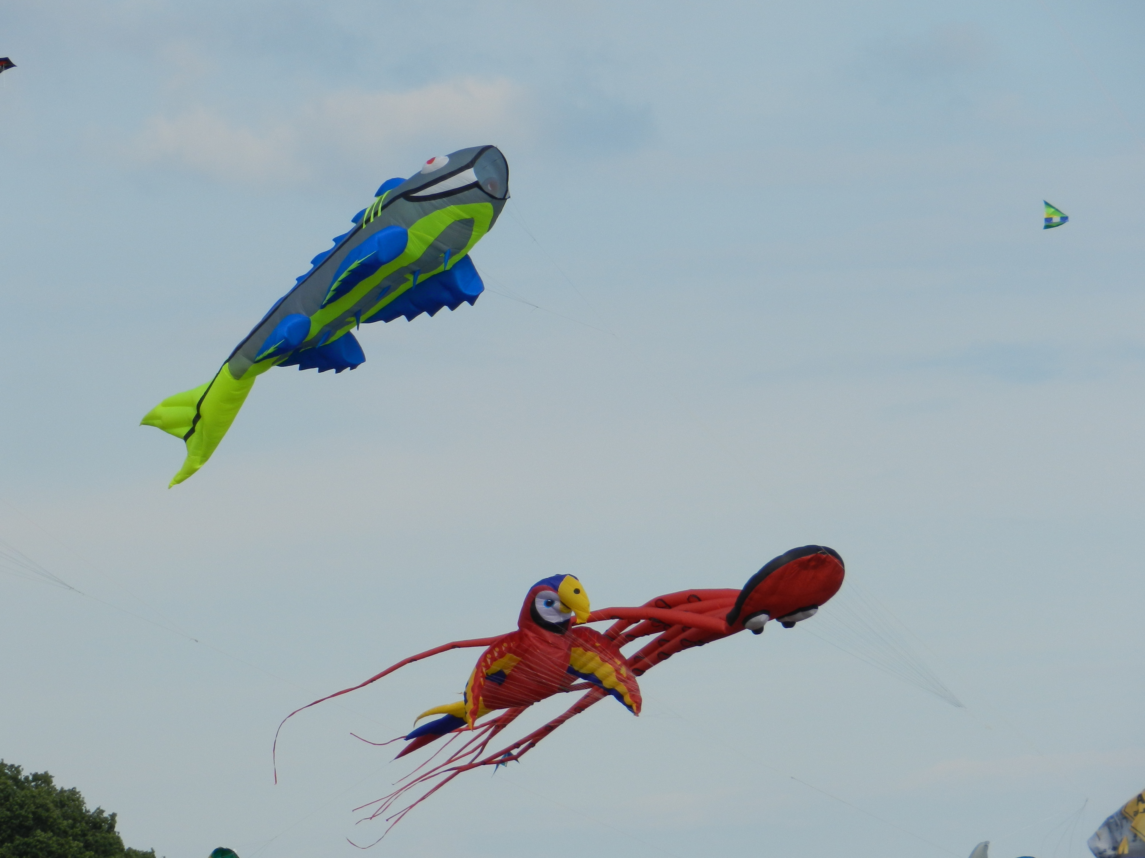 Rund 180 Drachenlenker aus dem Profi- und Halbprofibereich sowie ca. 500 Tagesgäste aus dem Amateurbereich nehmen voraussichtlich an der Kamen Kite 2019 teil. Foto: privat