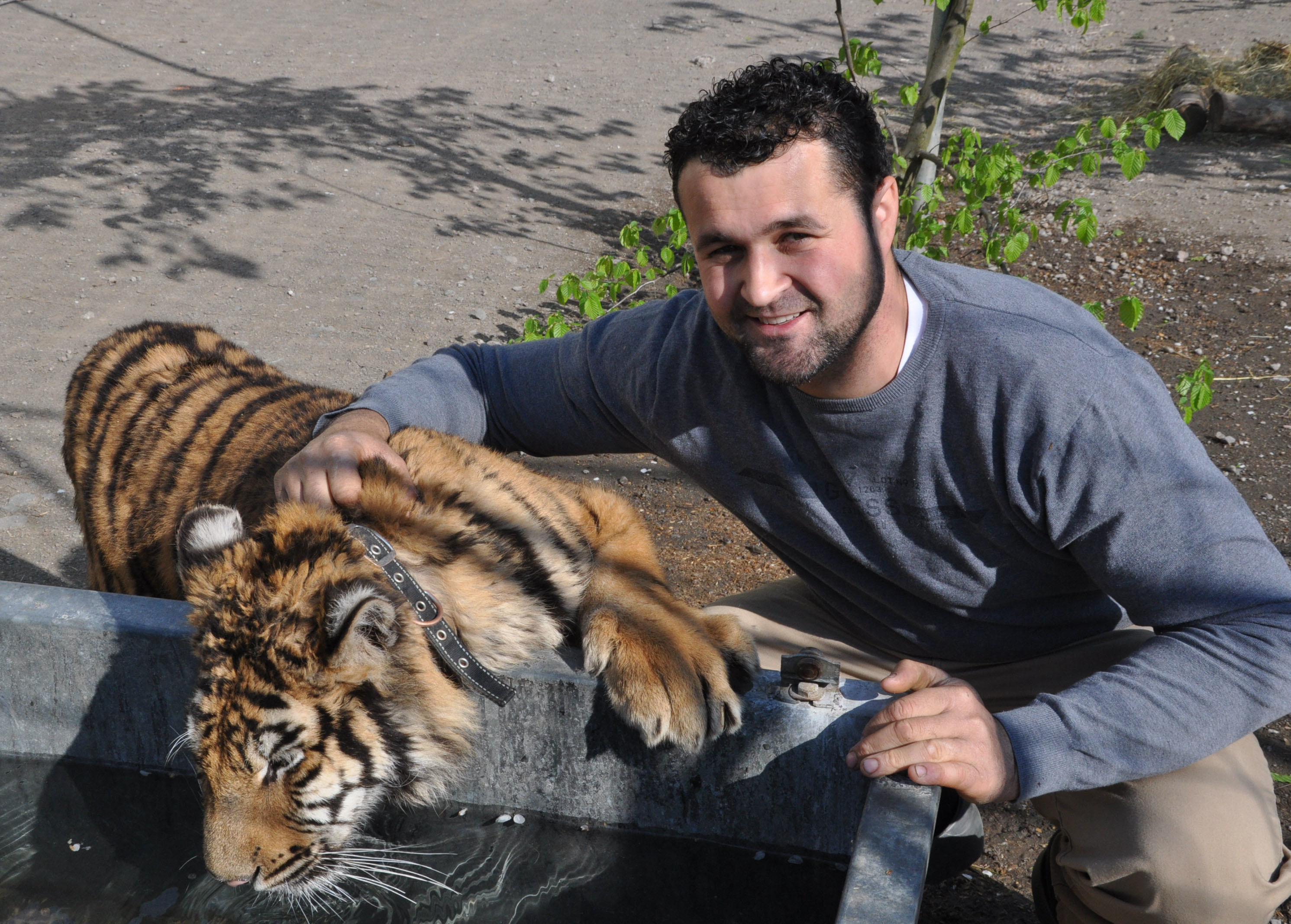 Robano Kübler mit Tinka Bell. Die neun Monate junge Tiger-Dame wurde mit der Flasche aufgezogen. Ihre Mama konnte den Wurf aufgrund der Größe nicht versorgen.