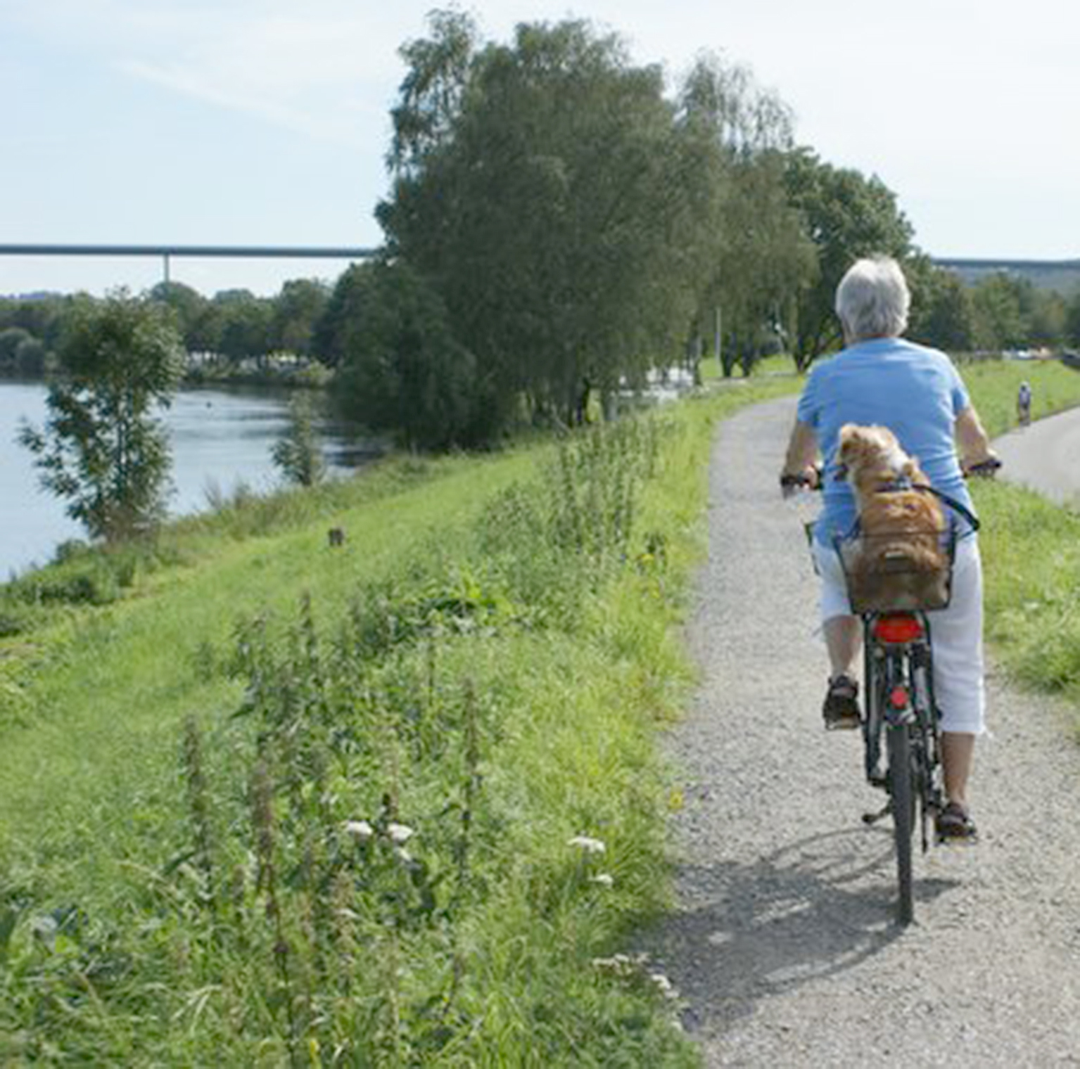 Radeln an der Ruhr - eine Freude. Radeln direkt in der Stadt - eher weniger. Foto: Archiv