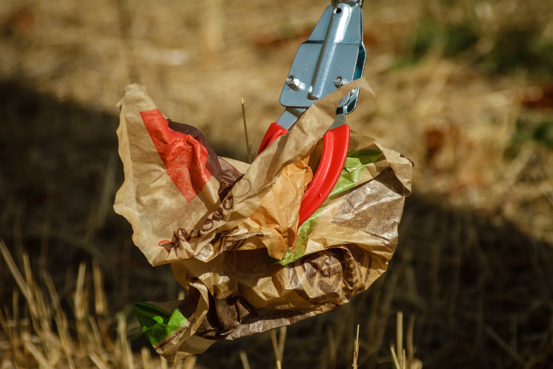 Eltern und Kinder sammlen gemeinsam Müll.
Symbolbild: Christoph Schütz auf Pixabay