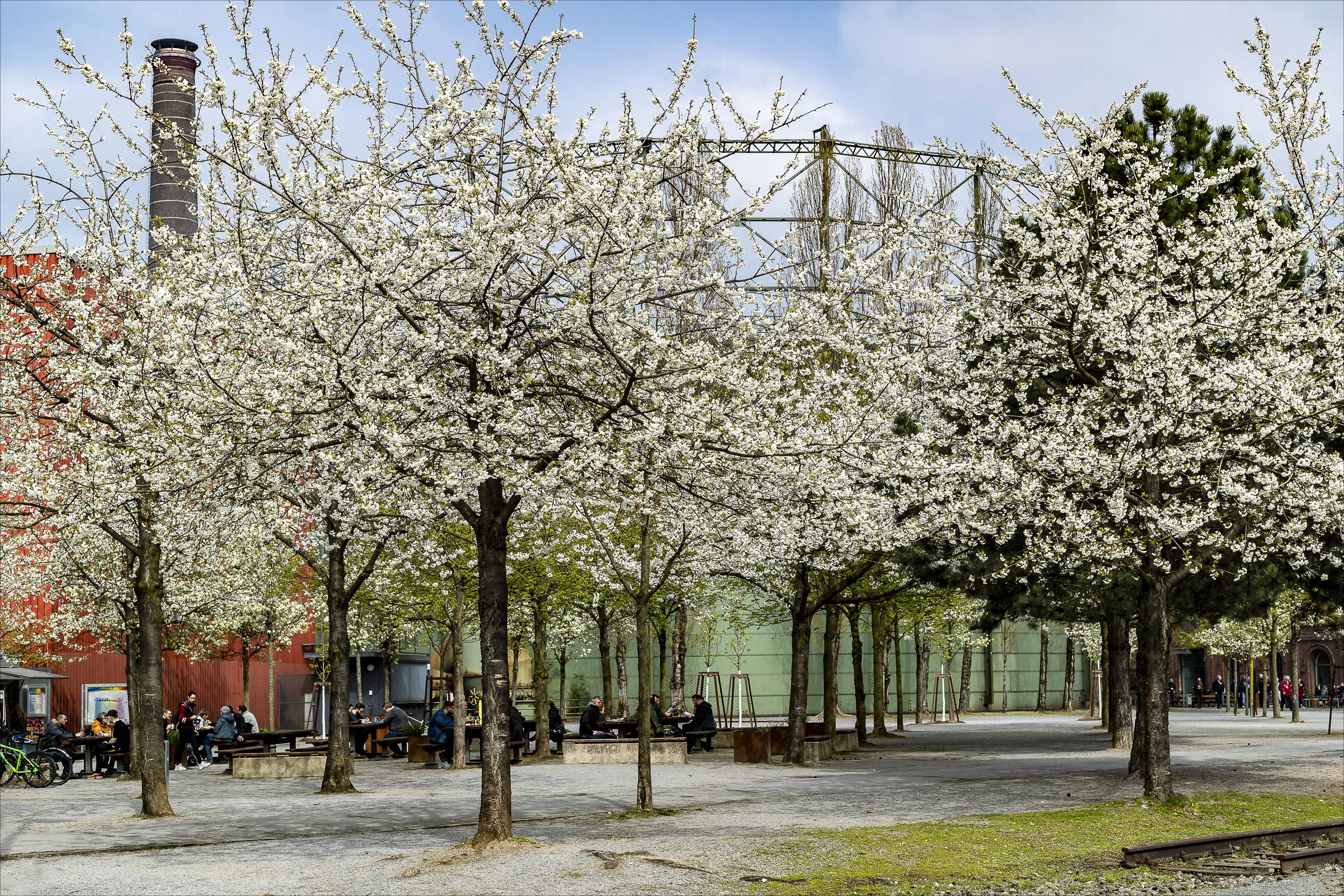 Gastronomie am Tauchgasometer
