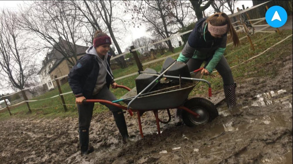 "Pferdesport statt Schwertransport" lautet das Motto des Voltigierzentrums im Sunderholze.