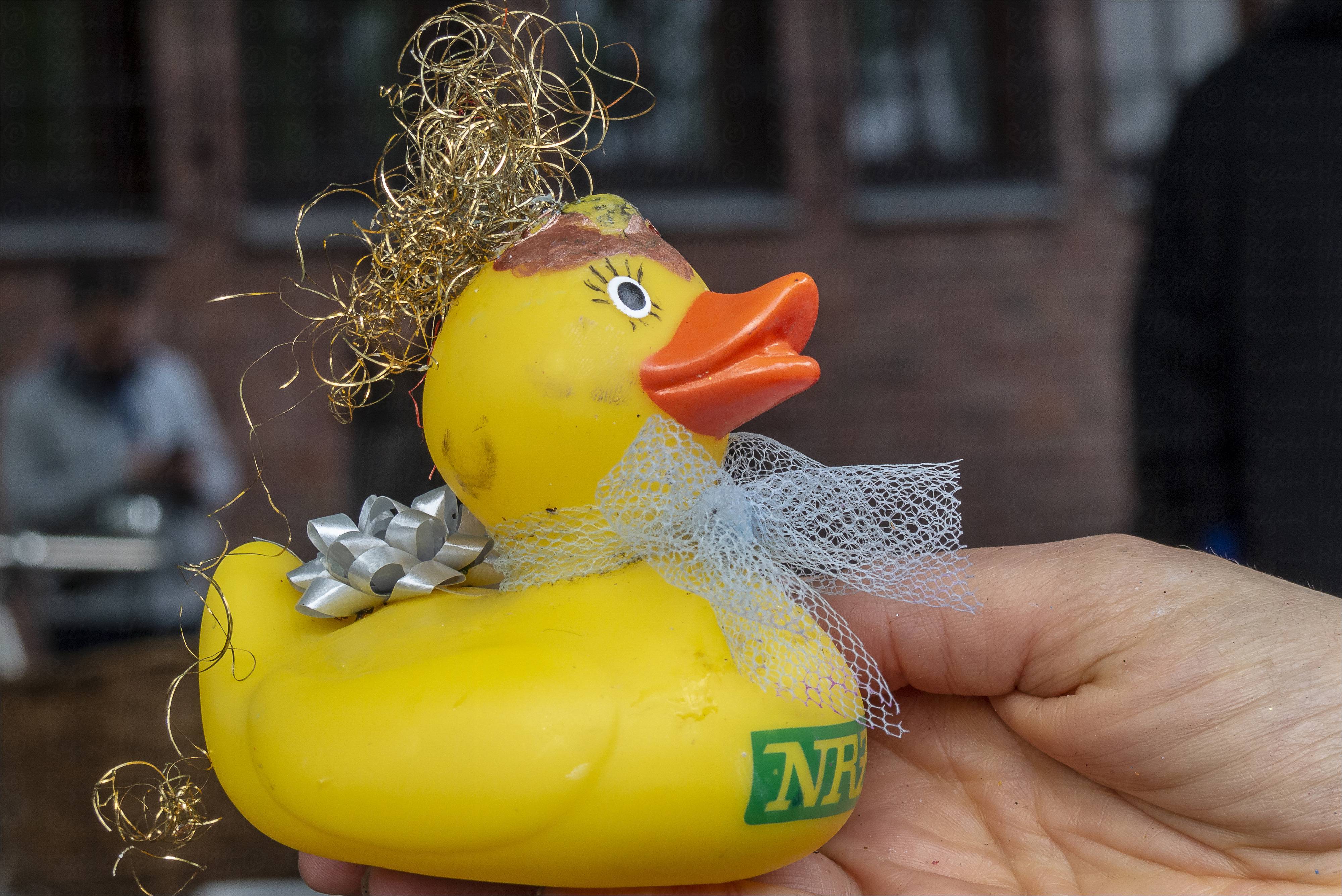 Ich bin die Ente, die die Veranstaltung angekündigt hat. Meine Frisur hat beim Wettkampf etwas gelitten und ein Bad brauche ich jetzt auch. Der Wettkampf hat mir aber Spaß gemacht.
