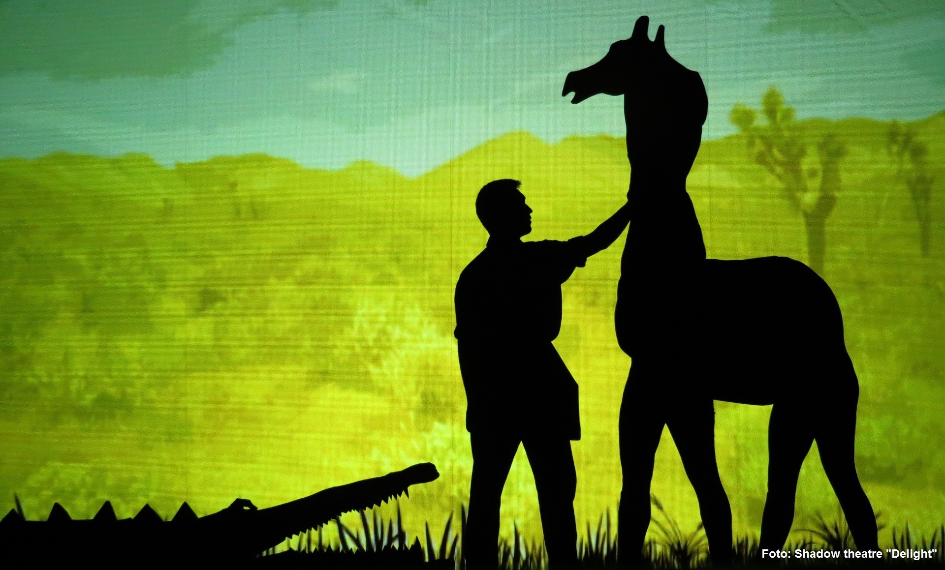 Aus der Ukraine stammen die Künstlerinnen und Künstler des Shadow Theatre Delight. Und sie sie haben ihre Show bereits in vielen Ländern der Welt präsentiert, zum Beispiel in Frankreich, Portugal, China, Kuwait und Katar.