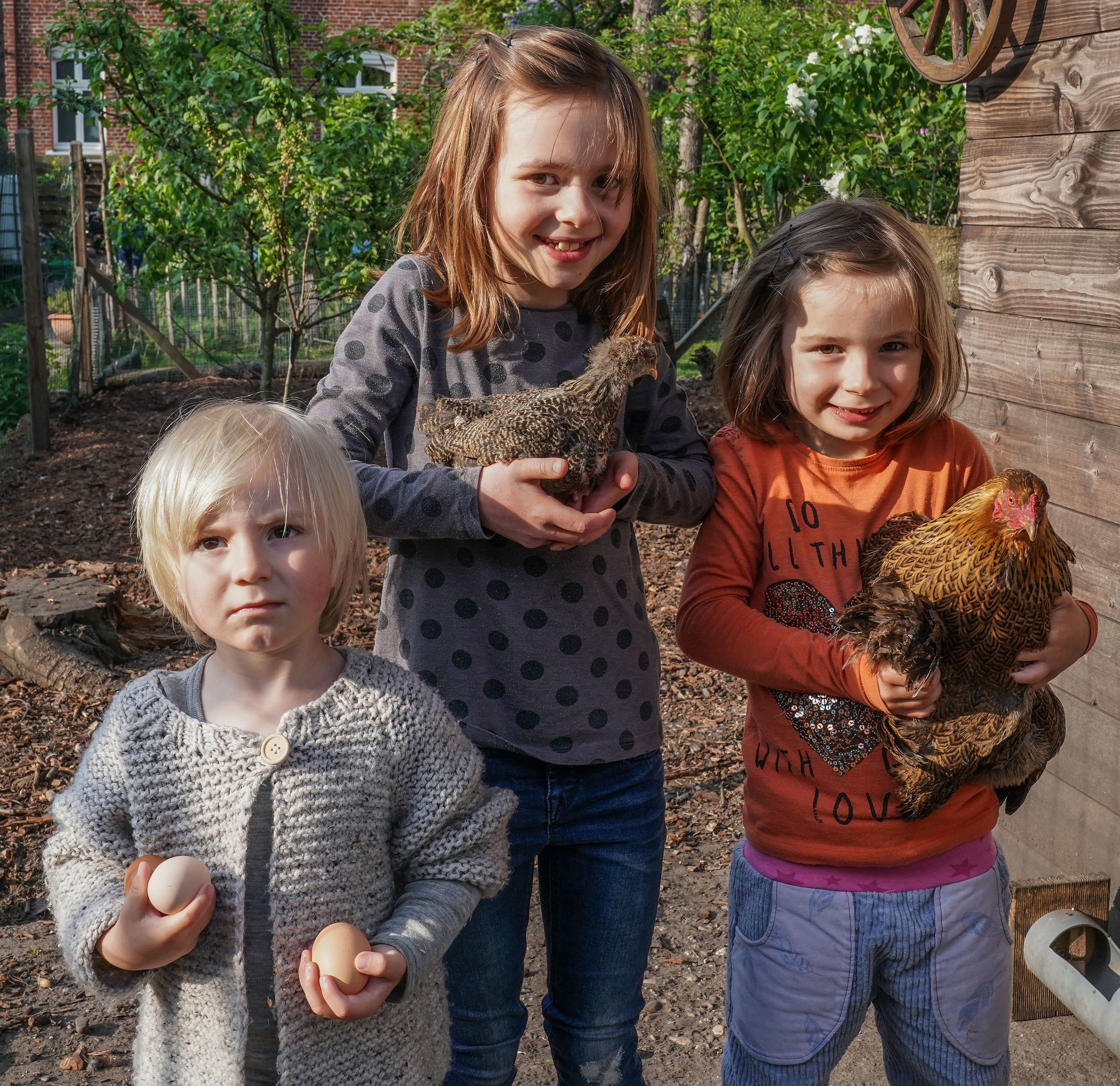 Carl Friedrich, Noa Frida und Thea Denkler aus Kanrnap sind mit ihren Hühnern beim Wettkrähen am Start.