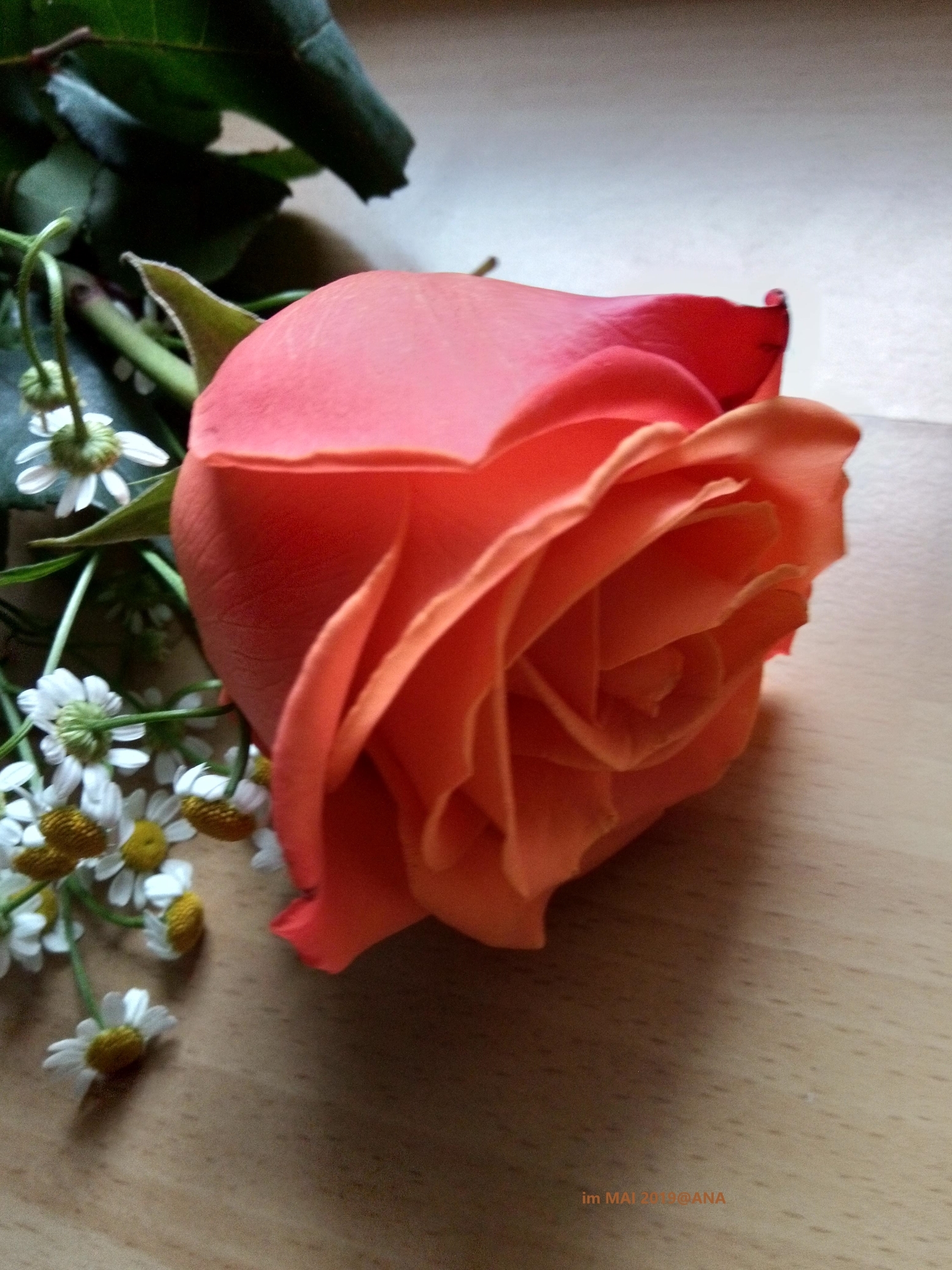 leider... durfte die BLUME nicht mit hinein´...