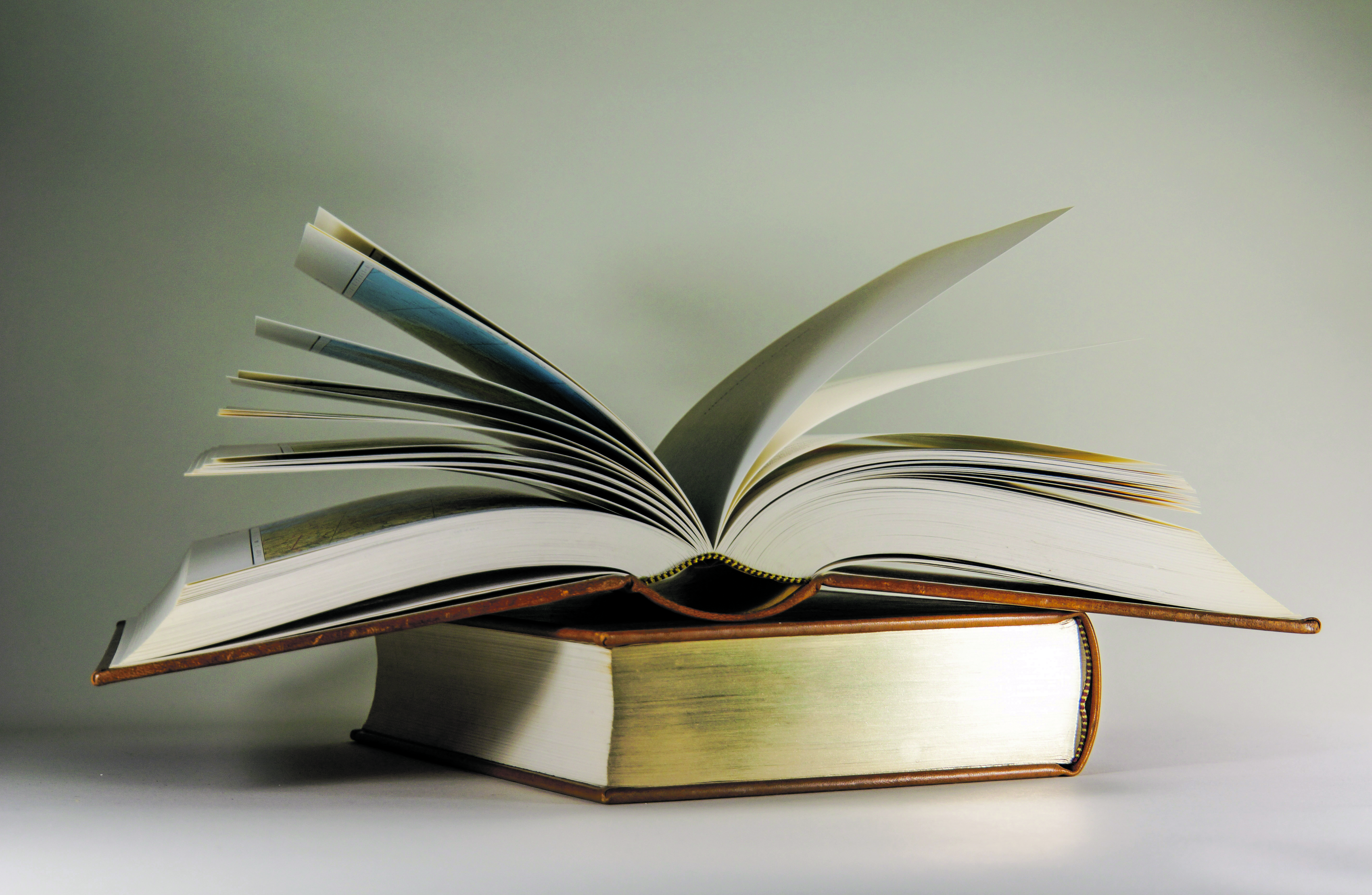 Die Stadtbibliothek ist sonntags geöffnet.