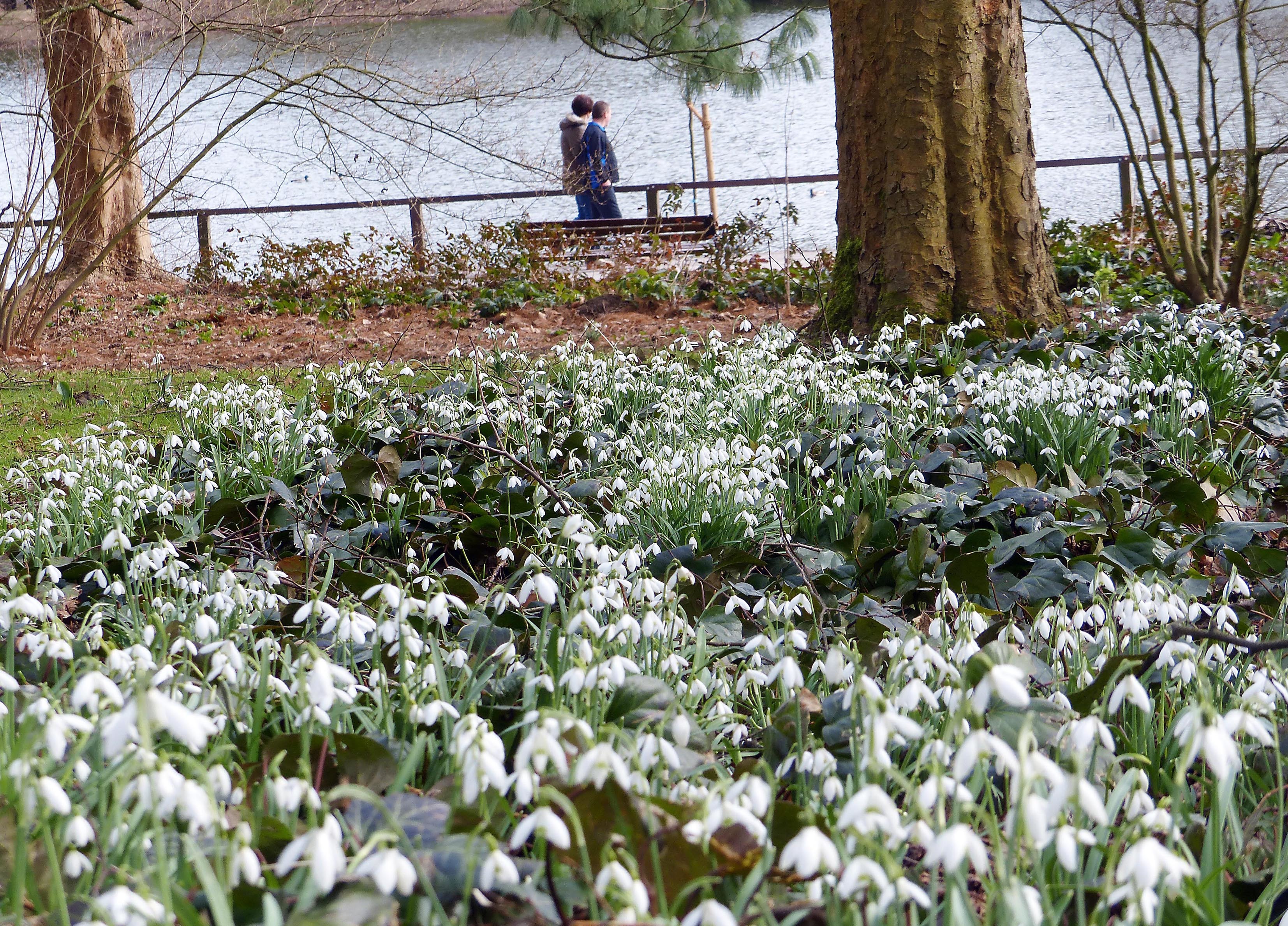 Der Rombergpark als kommunaler Botanischer Garten ohne direkten Universitätsanschluss ist zudem ein wichtiger Freizeit- und Erholungsort.