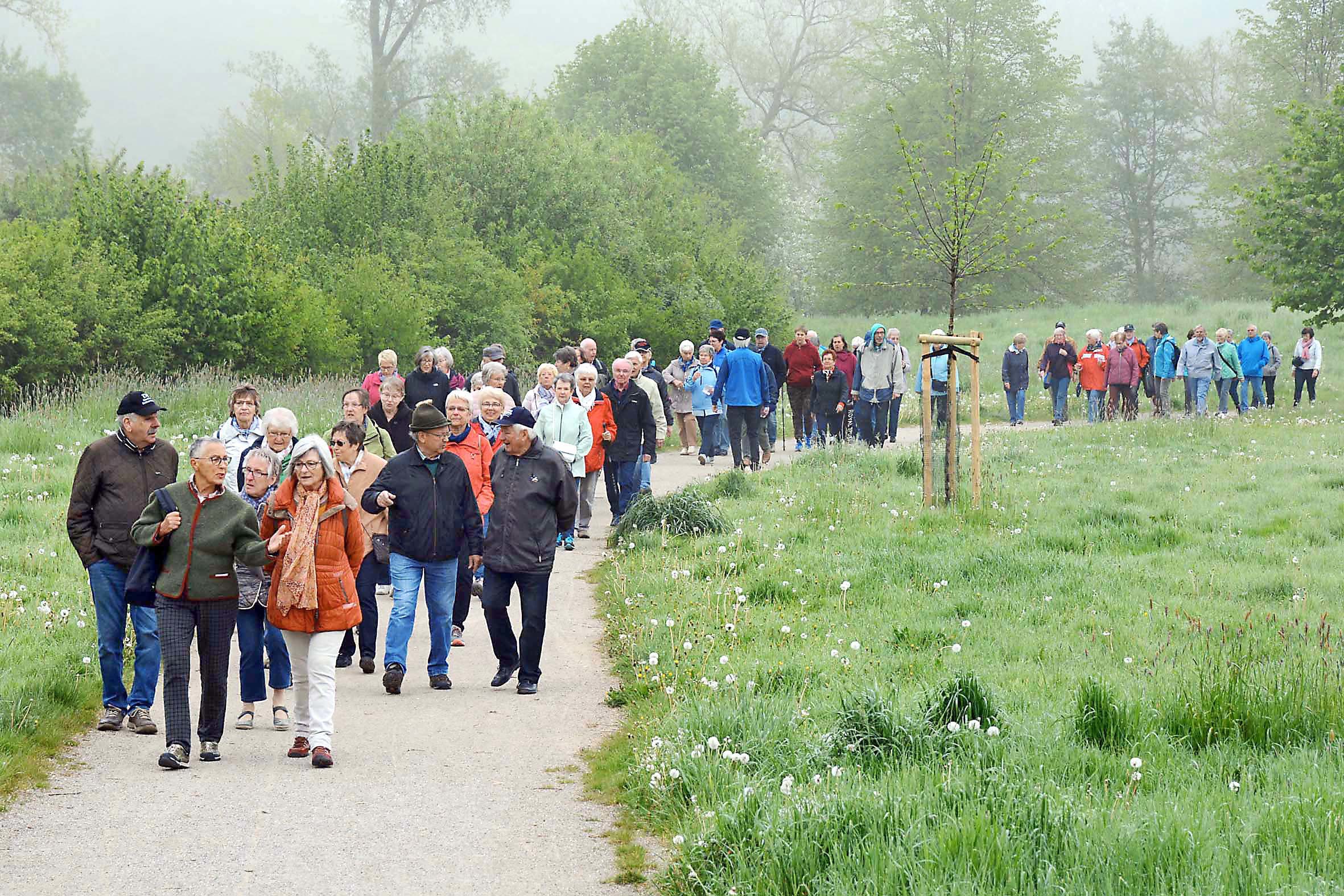 Diesig war es vormittags noch im Naturschutzgebiet "Alte Körne".