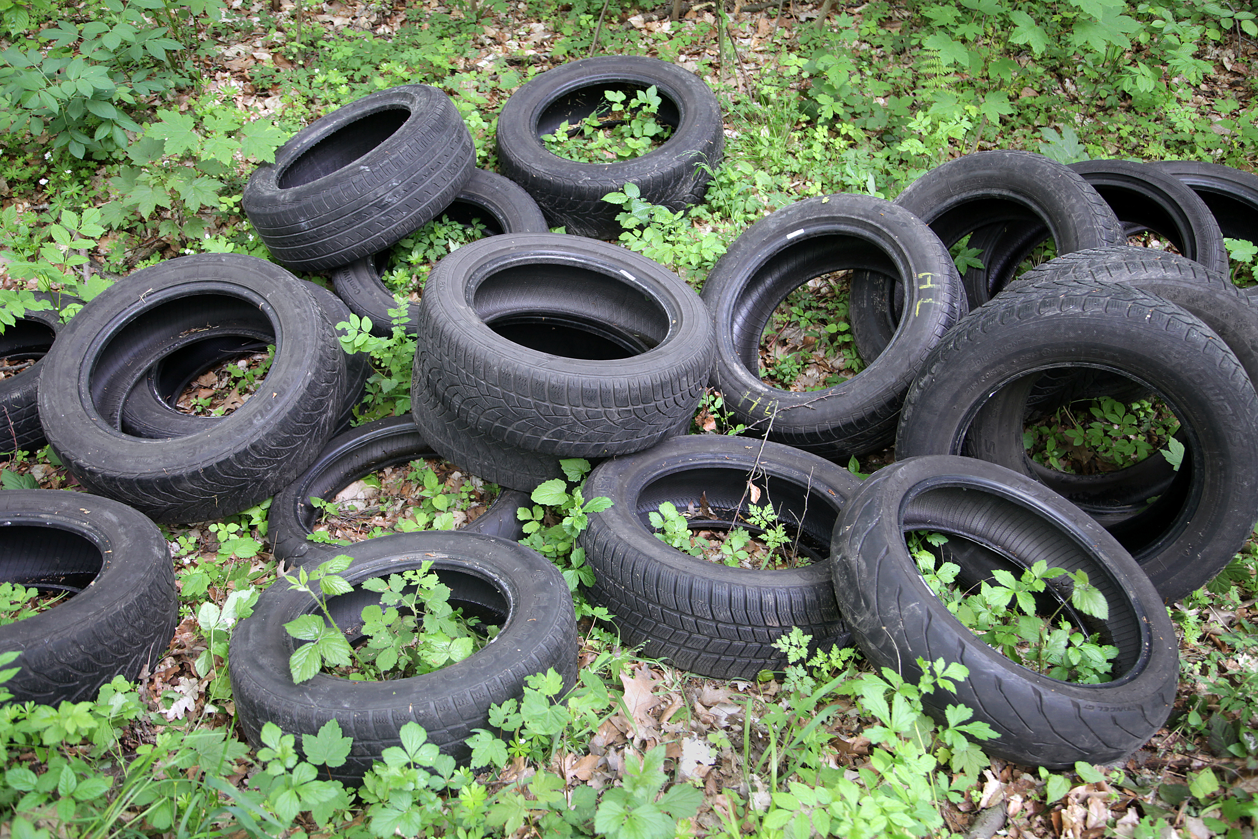 Die Reifen warfen die Unbekannten in das Unterholz mitten im Naturschutzgebiet.