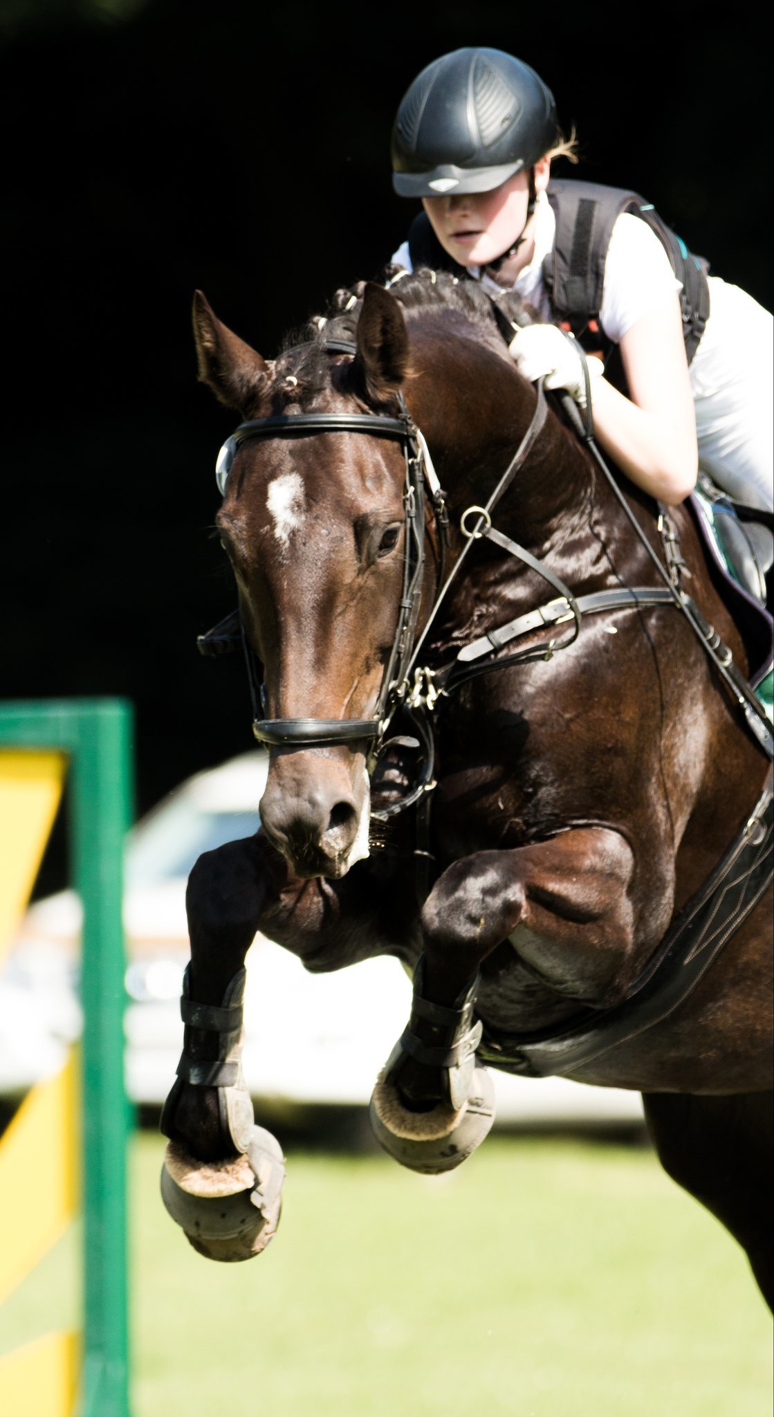Reitverein Diana Diersfordt startet in seine Turniersaison.