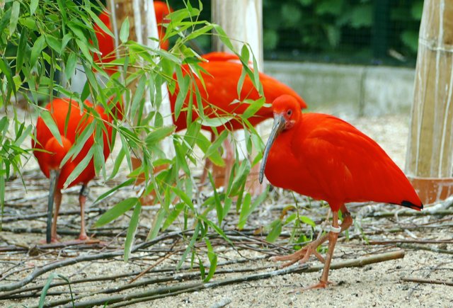 Foto: Andreas Klinke