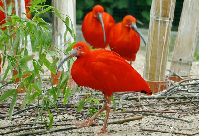 Foto: Andreas Klinke