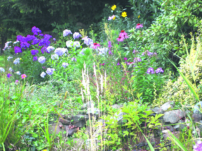 Bild: Archiv