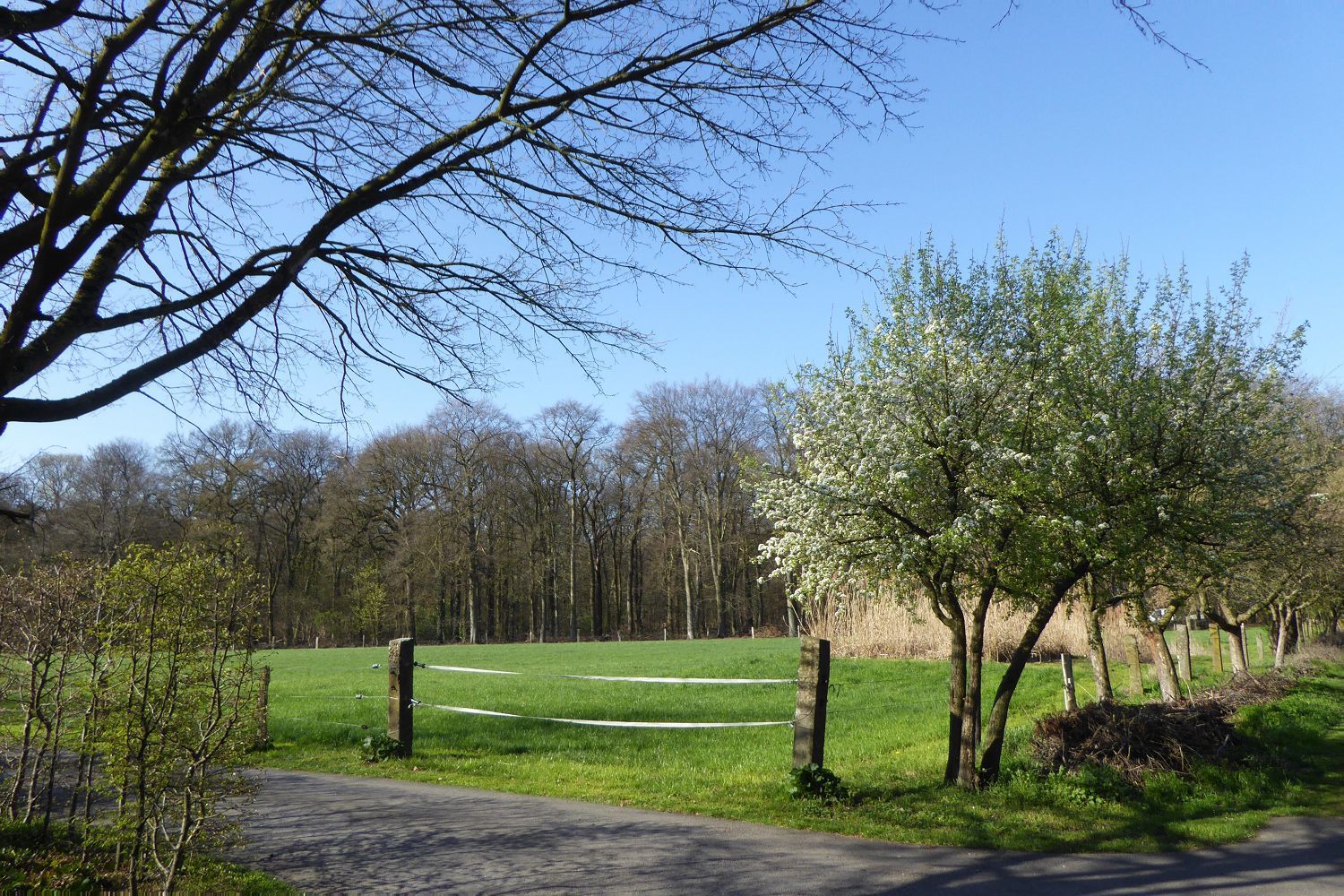 So langsam erwacht die Natur!
