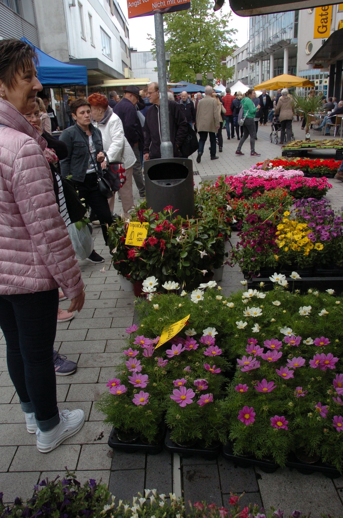 Fotostrecke: Hertener Blumenmarkt lockt Tausende in die Innenstadt - Herten