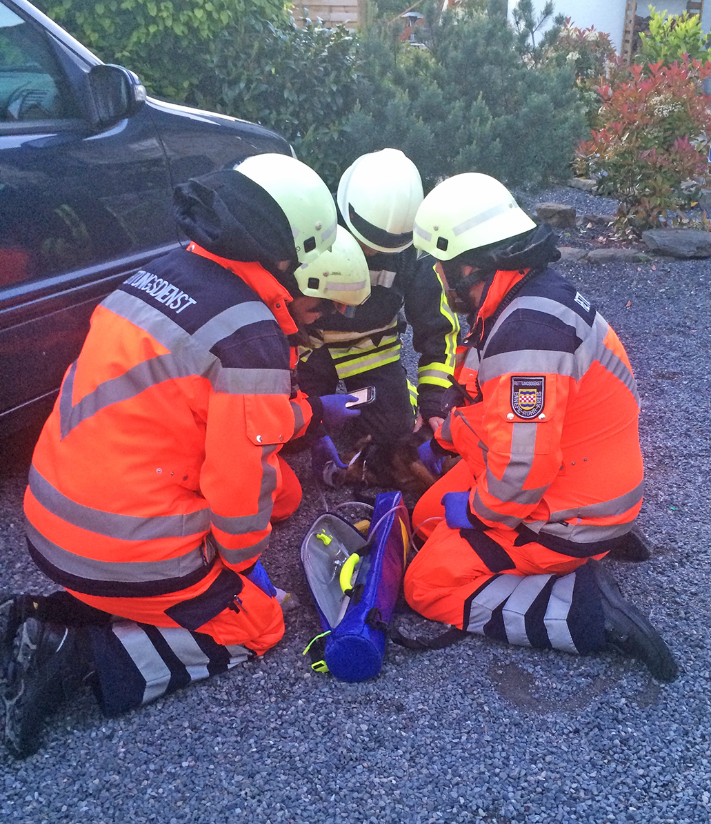 Die Feuerwehrleute kümmern sich hier um den bewusstlosen Hund, den sie aus der brennenden Wohnung an der Kohlenstraße in Hattingen gerettet haben. Foto: Herkströter