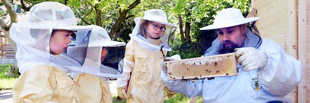 Erzieher und Imker Dennis Knöppel zeigt den Kindern, wie die Bienen die Waben im Stock füllen.