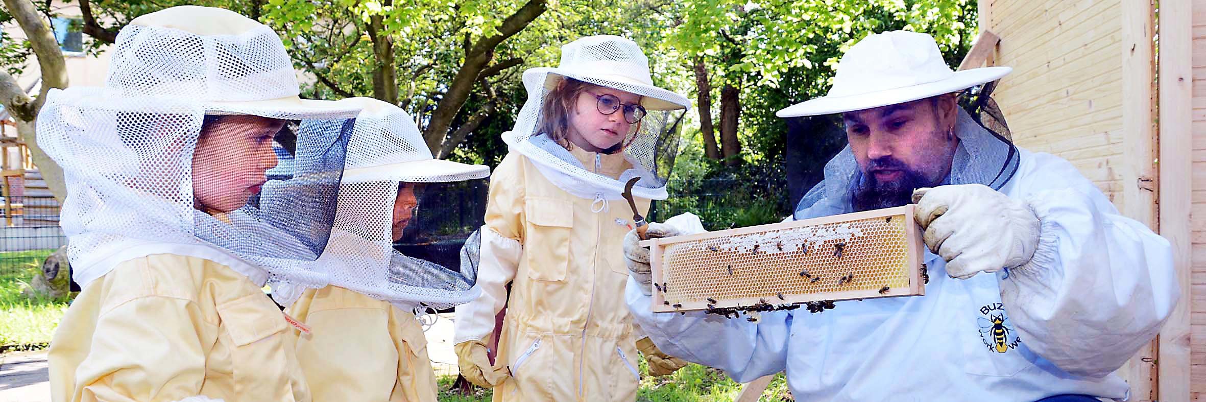 Erzieher und Imker Dennis Knöppel zeigt den Kindern, wie die Bienen die Waben im Stock füllen.
