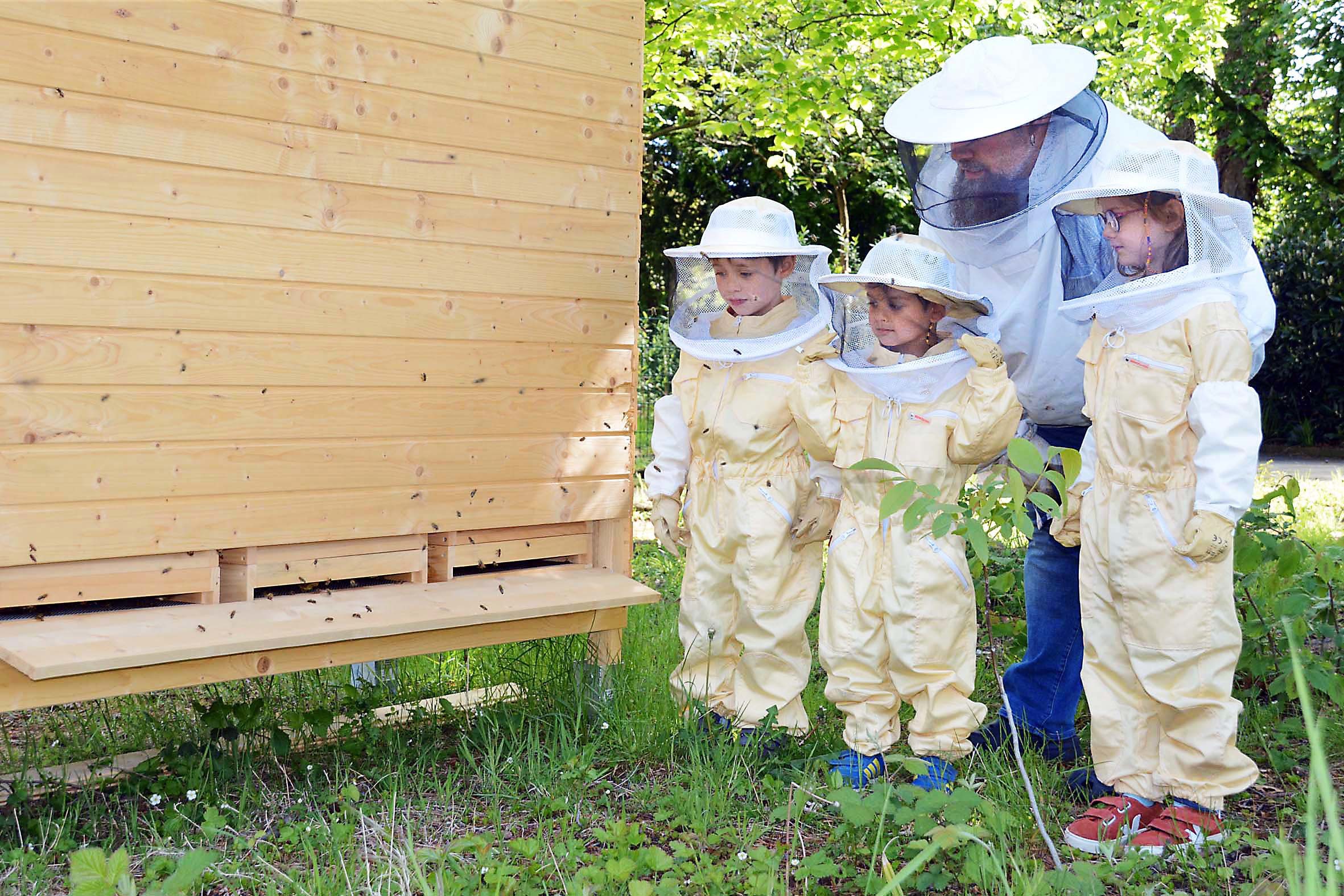 In Schutzkleidung können die Kita-Kinder die Bienen ganz aus der Nähe beobachten, wie sie ausfliegen.
