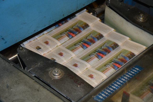 Ehe sie dann von der Maschine fertiggestellt wird. | Foto: Christian Schaffeld