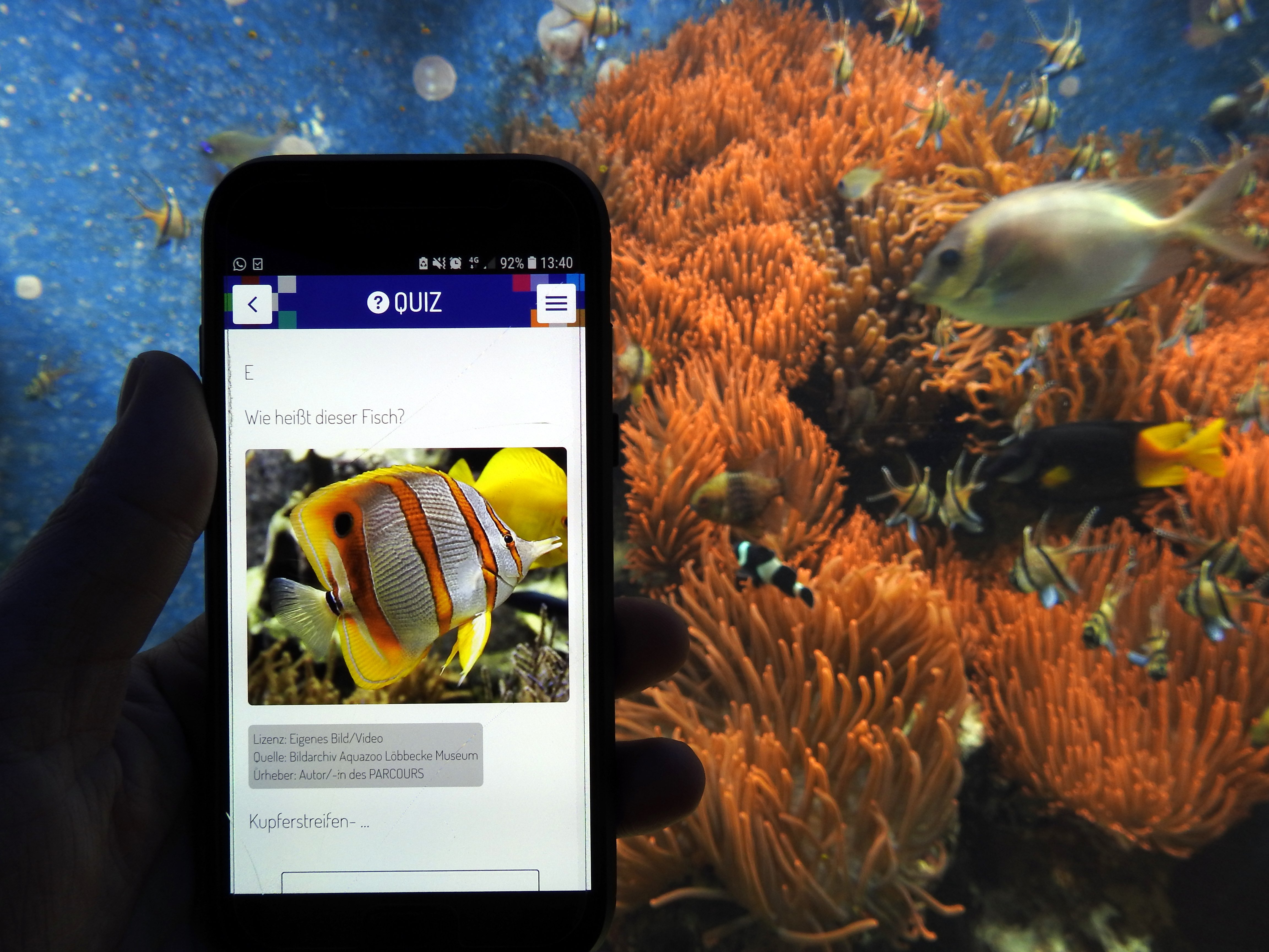 Eine App macht es möglich: Familien und Kinder können beim Besuch des Aquazoo Löbbecke Museum ab sofort an einer interaktiven Rallye teilnehmen.