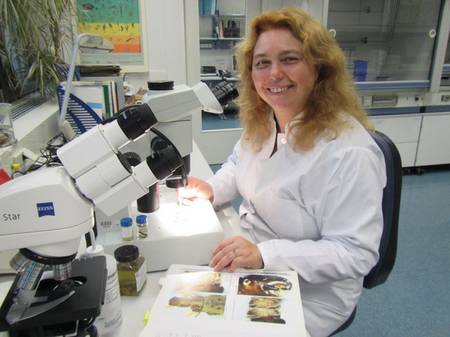 Simone von Pigage-Goehler, Biologisch-technische Assistentin beim Lippeverband, bei der Artenbestimmung im Labor.