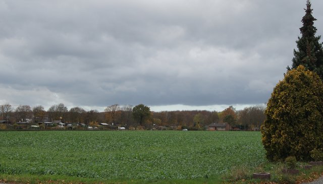 Das Neukircher Feld. Hier kann in den nächsten Jahren ein neues Wohnquartier mit verschiedenen Wohneinheiten geschaffen werden.