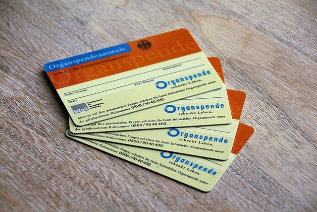Circa ein drittel der Deutschen besitzen einen Organspende-Ausweis. Organspende schenkt Leben.