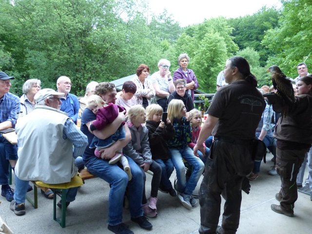 Die Gruppe erlebte die Greifvögel aus nächster Nähe. Foto: Privat