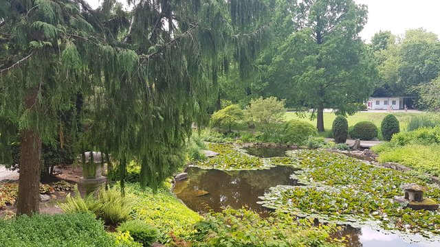 Frohe Pfingsten.